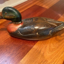 Tom Tabor duck - signed