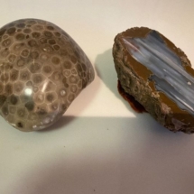 Polished geode and Petoskey stone