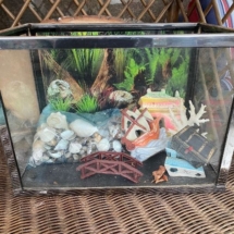 Vintage fish tank