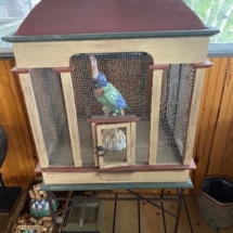 Neat painted bird cage