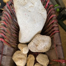 Lot of Petoskey stones- large