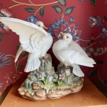 Pair of Doves by Andrea Sadek