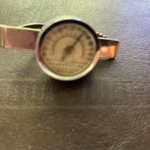 Cool thermometer tie clip. 