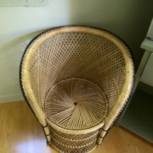Child size Peacock chair
