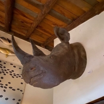 High quality resin black rhino bust