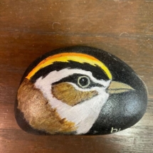 Painted rock