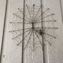 Metal outdoor spiderweb