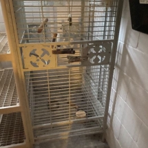 Large Aviary cage