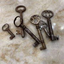 Lot of skeleton keys
