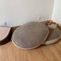 Dog beds and step