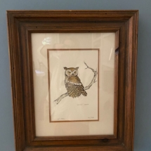 Screech Owl by Nancy Pallan