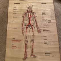 Vintage first aid chart