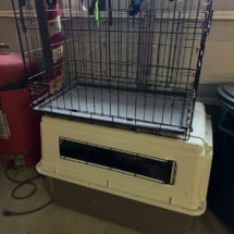 Dog crates - more than shown